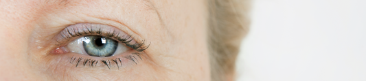 Main Skin Care Ingredients to Protect Skin Barrier